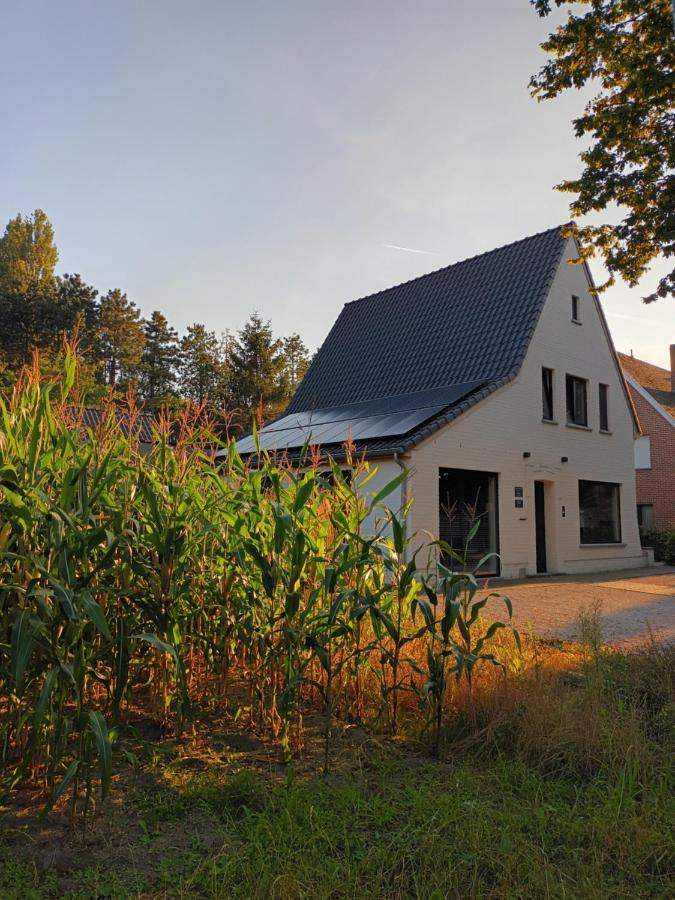 B&B Snelleghem Snellegem Bagian luar foto